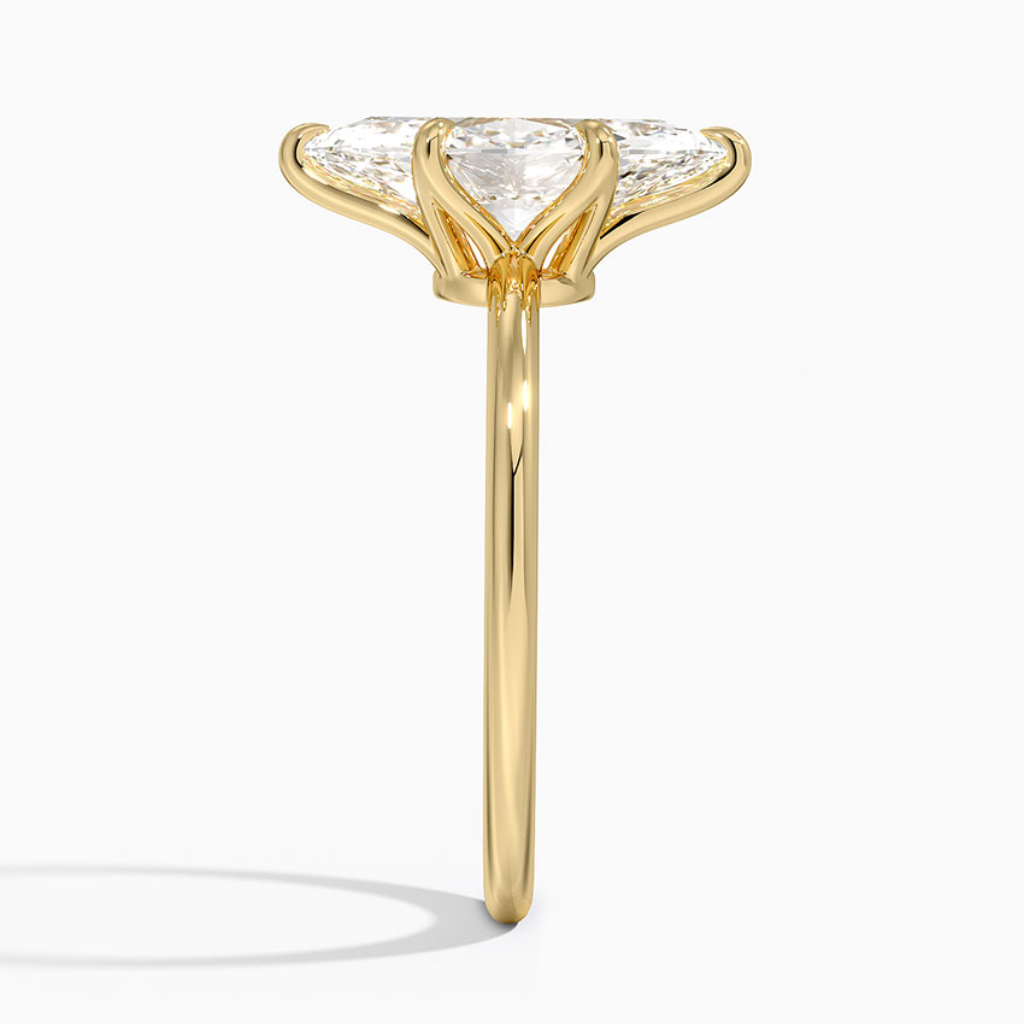 DDRG61 - Petite Esme 1.5mm Engagement Ring