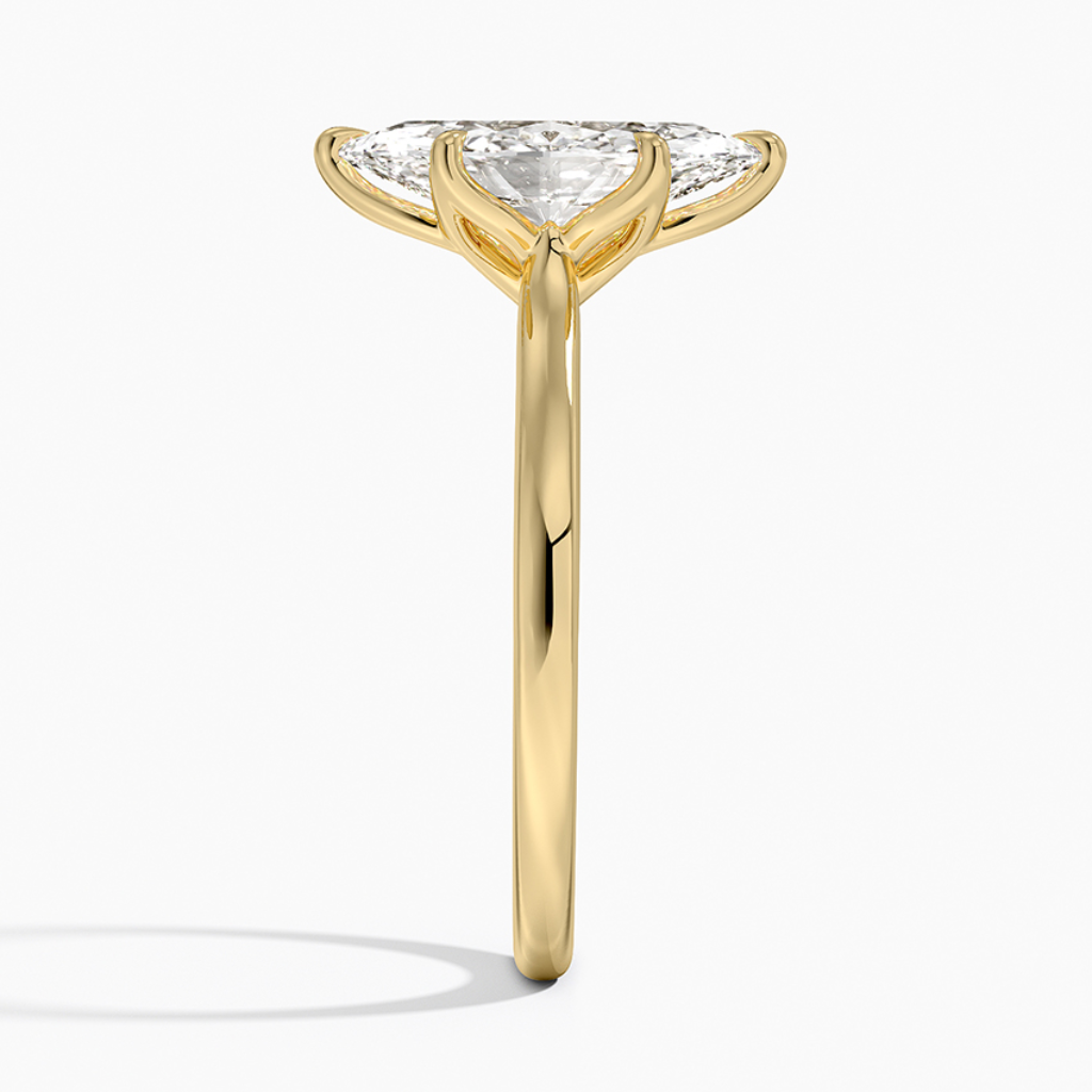 DDRG52 - Elodie Cathedral Solitaire Engagement Ring