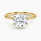 DDRG61 - Petite Esme 1.5mm Engagement Ring